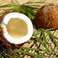 coconut