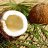 coconut