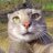 Germes_Sharov